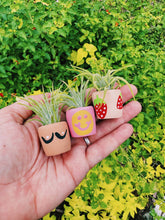 Load image into Gallery viewer, Boob Pot Mini Planter
