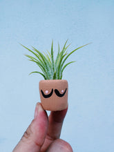 Load image into Gallery viewer, Boob Pot Mini Planter