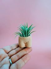 Load image into Gallery viewer, In the Nude Mini Planter with Air Plant