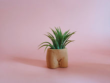 Load image into Gallery viewer, In the Nude Mini Planter with Air Plant