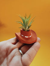 Load image into Gallery viewer, Terracotta Cowboy Hat Mini Planter with Air Plant