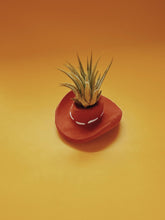 Load image into Gallery viewer, Terracotta Cowboy Hat Mini Planter with Air Plant