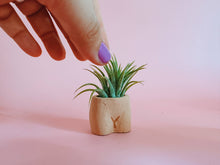 Load image into Gallery viewer, In the Nude Mini Planter with Air Plant