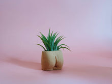 Load image into Gallery viewer, In the Nude Mini Planter with Air Plant
