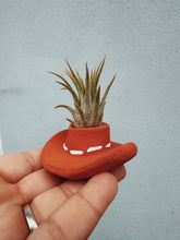 Load image into Gallery viewer, Terracotta Cowboy Hat Mini Planter with Air Plant