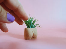 Load image into Gallery viewer, In the Nude Mini Planter with Air Plant