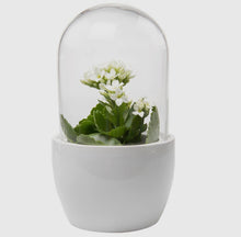 Load image into Gallery viewer, MINI PILL