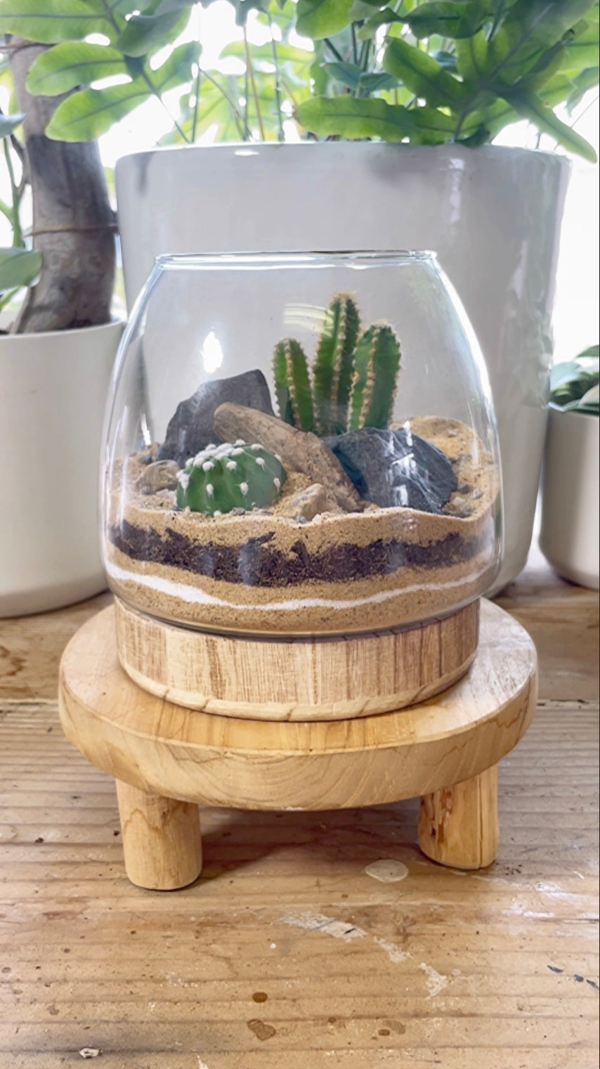 CACTUS TERRARIUM WORKSHOP  Clover + Booch