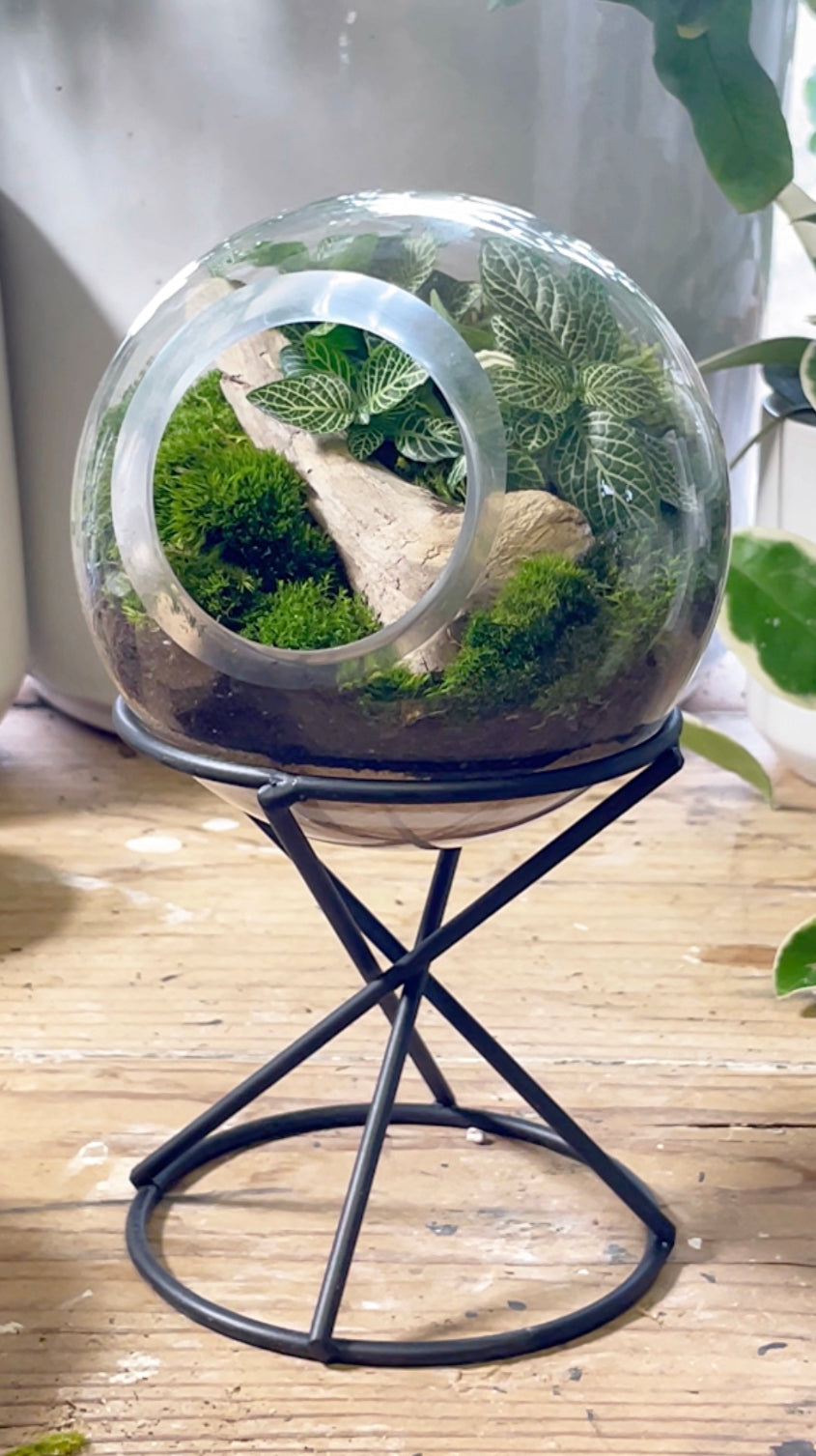 plant globe terrarium ORB TERRARIUM ON STAND – Clover + Booch