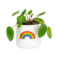 Load image into Gallery viewer, RAINBOW PLANTER 3.25