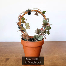 Load image into Gallery viewer, WOOD SINGLE HOOP