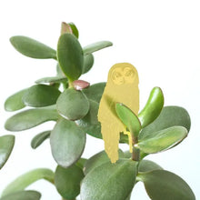 Load image into Gallery viewer, OWL PLANT ANIMAL