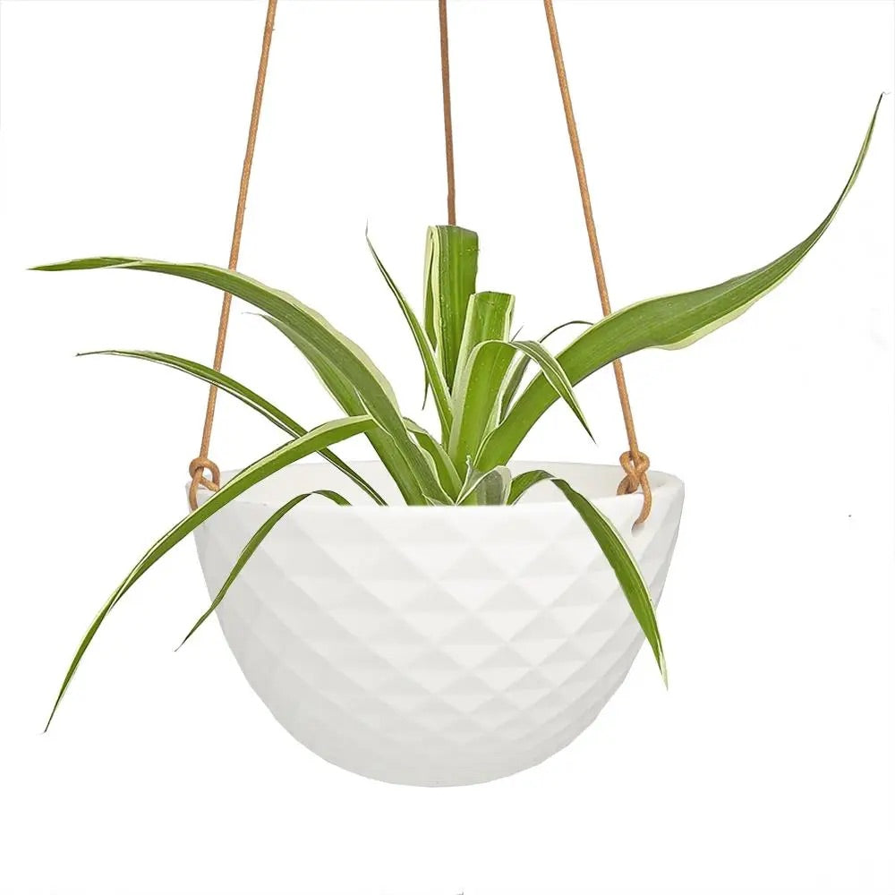 mini hanging plant MINI MOFO HANGING POT – Clover + Booch