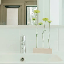 Load image into Gallery viewer, PROPAGATION STATION TRI