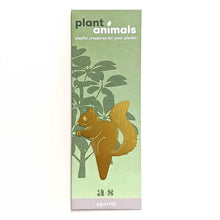 Load image into Gallery viewer, SQUIRREL PLANT ANIMAL