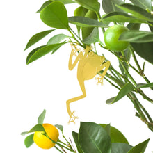 Load image into Gallery viewer, TREE FROG PLANT ANIMAL
