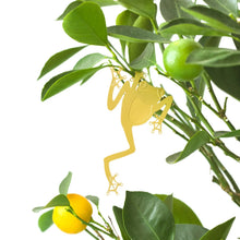 Load image into Gallery viewer, TREE FROG PLANT ANIMAL