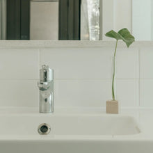 Load image into Gallery viewer, SINGLE PROPAGATION STATION