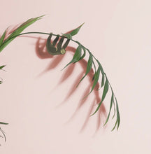 Load image into Gallery viewer, SLOTH PLANT ANIMAL