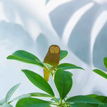 Load image into Gallery viewer, OWL PLANT ANIMAL
