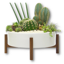 Load image into Gallery viewer, WHITE CERAMIC SUCCULENT POT WITH STAND
