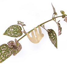 Load image into Gallery viewer, SLOTH PLANT ANIMAL