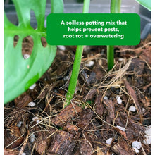 Load image into Gallery viewer, NOOT MIX SOILLESS POTTING MIX