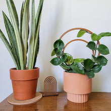 Load image into Gallery viewer, WOOD DOUBLE HOOP