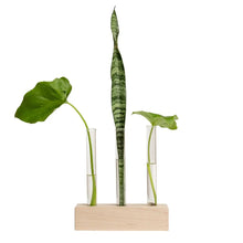 Load image into Gallery viewer, PROPAGATION STATION TRI