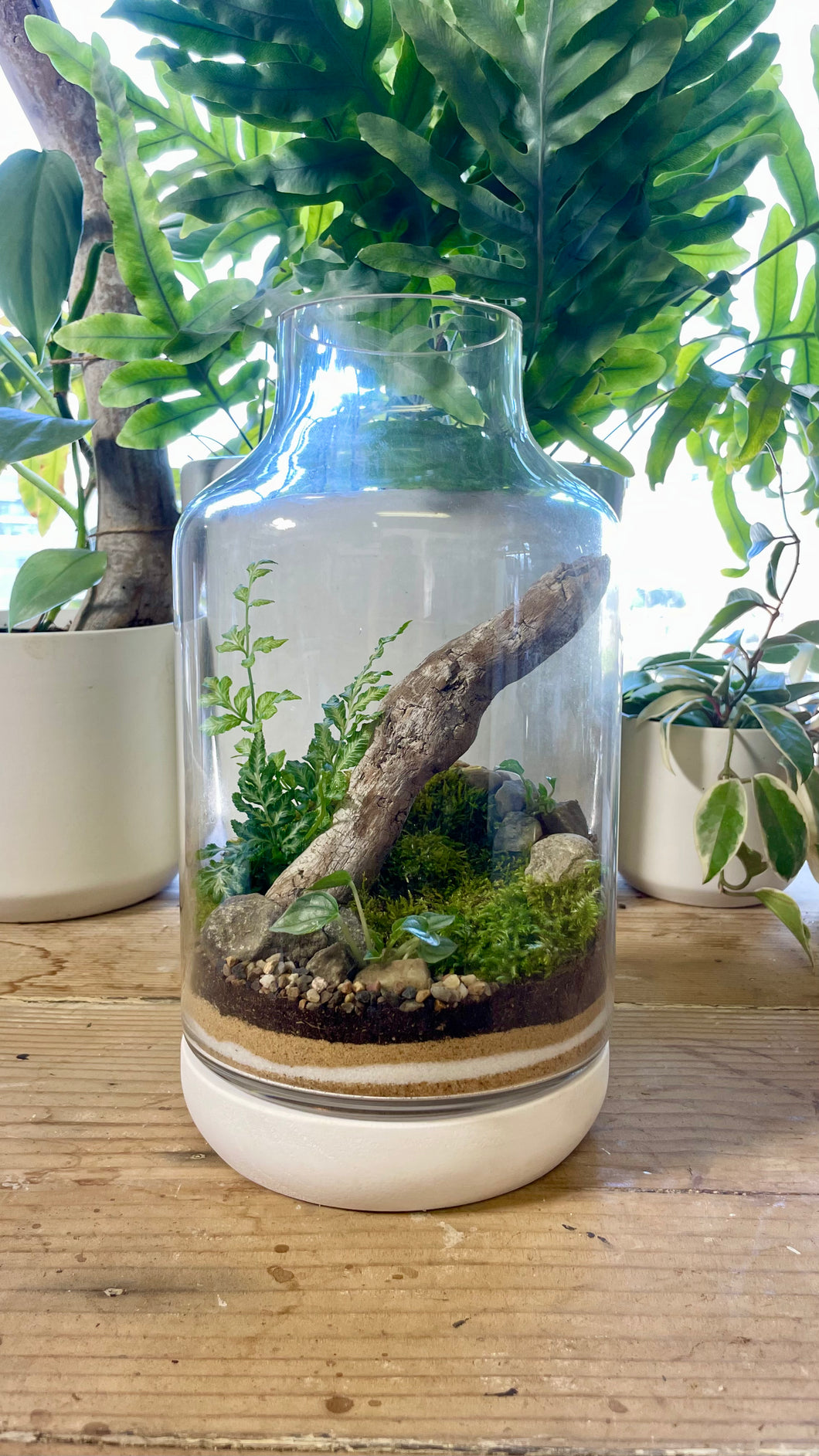 extra large plant terrarium EXTRA LARGE TERRARIUM WORKSHOP