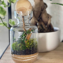 Load image into Gallery viewer, TERRARIUM WITH WOOD BALL
