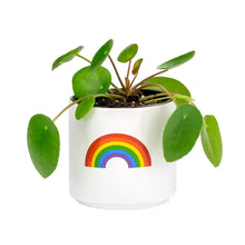Load image into Gallery viewer, RAINBOW PLANTER 3.25
