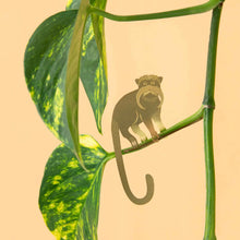 Load image into Gallery viewer, TAMARIN PLANT ANIMAL
