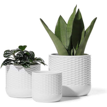 Load image into Gallery viewer, CERAMIC CYLINDER PLANTER
