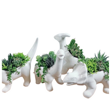 Load image into Gallery viewer, DINOSAUR PLANTER
