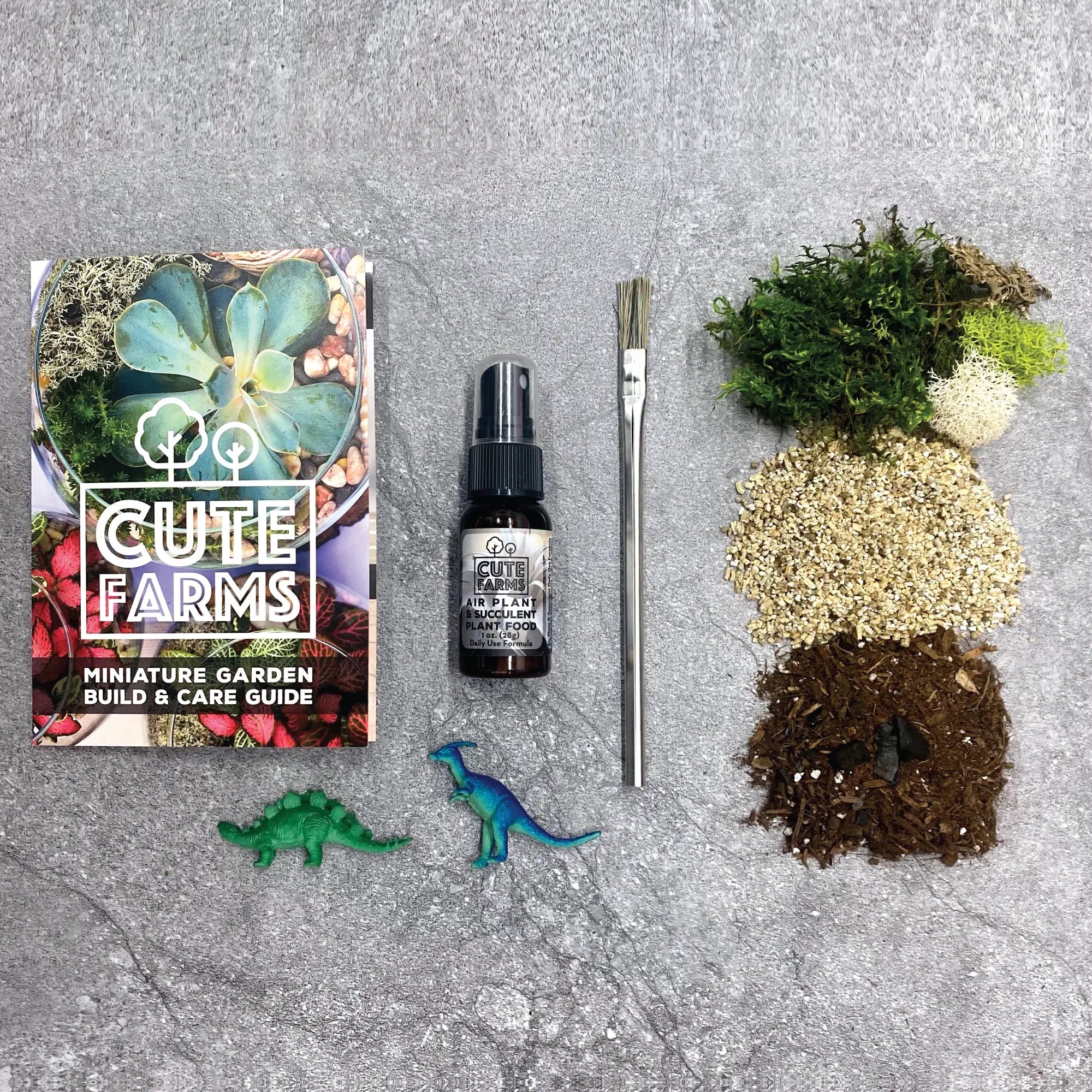 plant terrarium starter kit TERRARIUM STARTER KIT – Clover + Booch