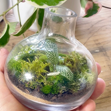 Load image into Gallery viewer, BUBBLE TERRARIUM
