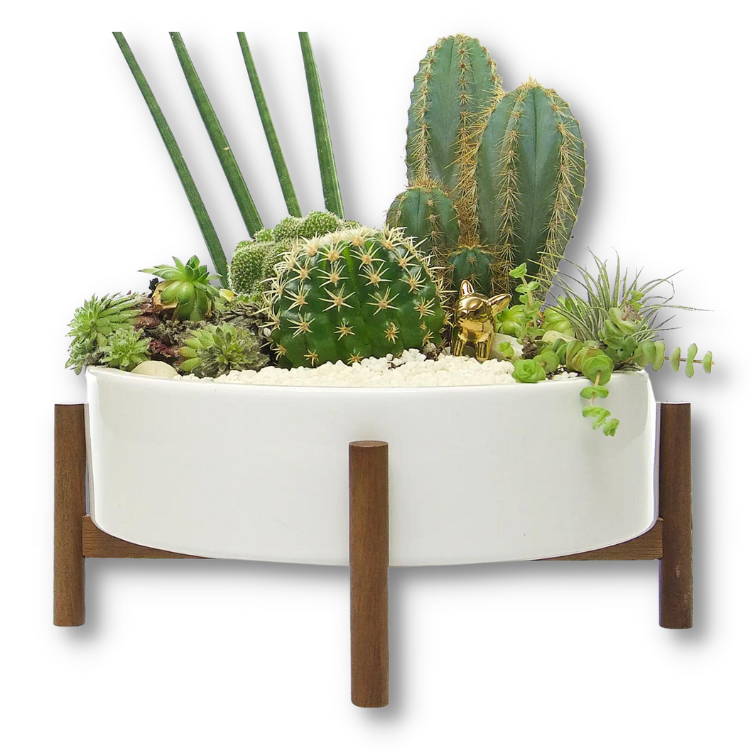 WHITE CERAMIC SUCCULENT POT WITH STAND